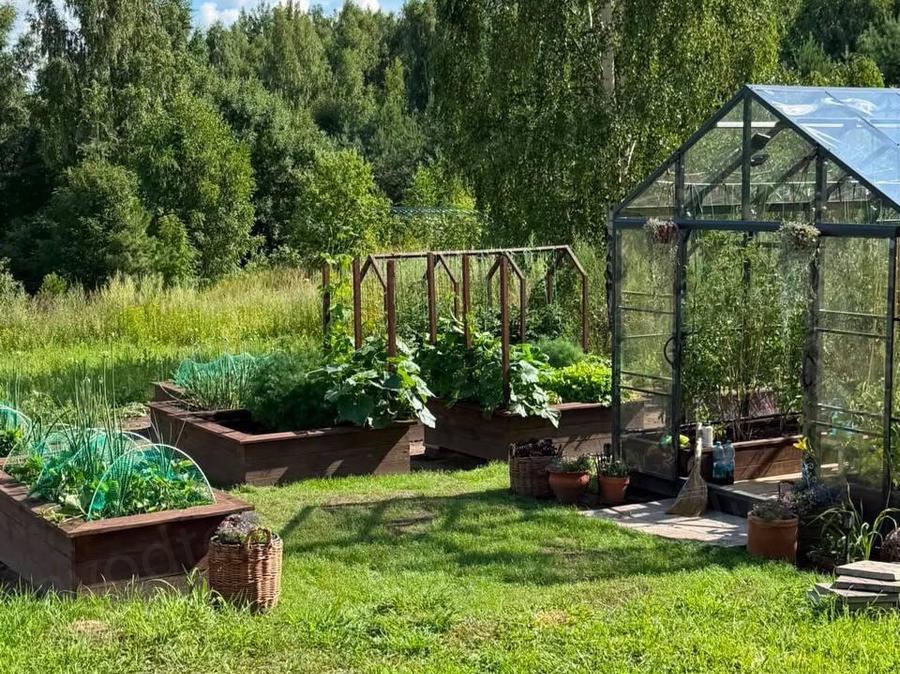 Кузнецов Дмитрий Александрович 