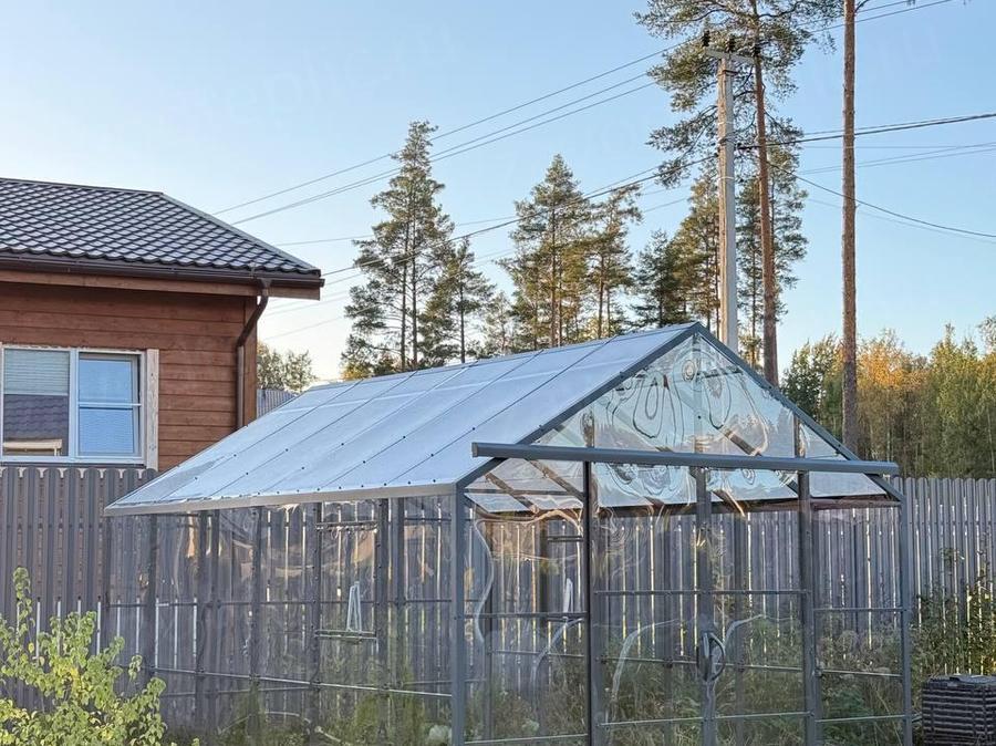 Вероника