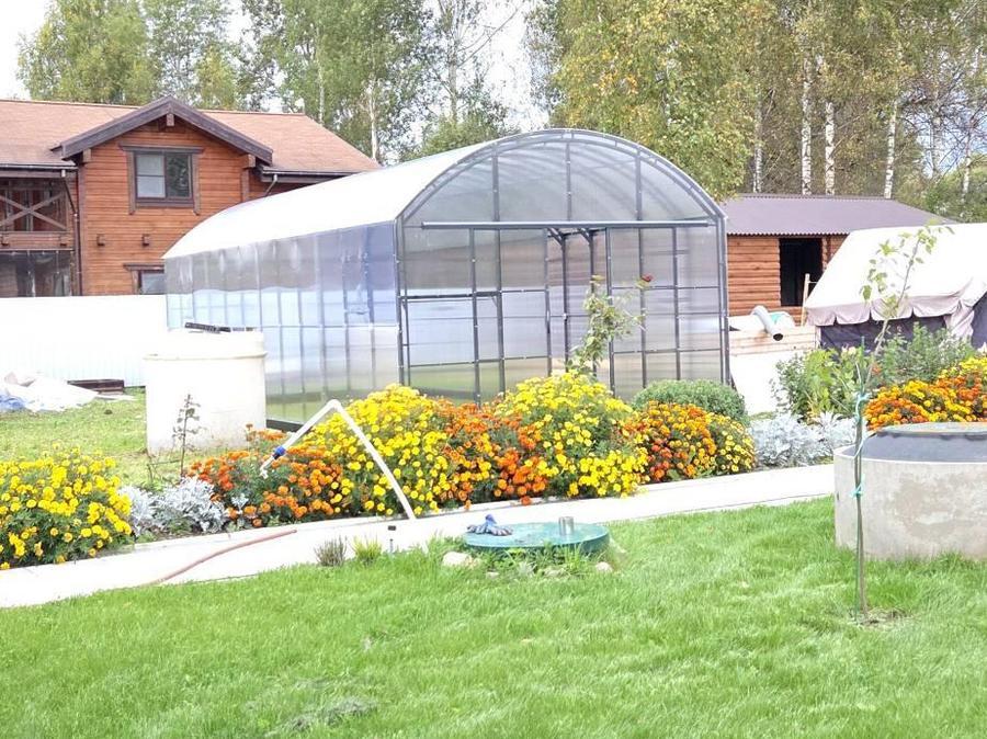 Алексей Михайлович