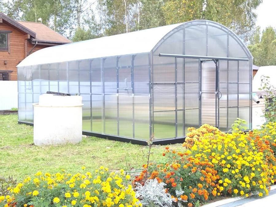 Алексей Михайлович