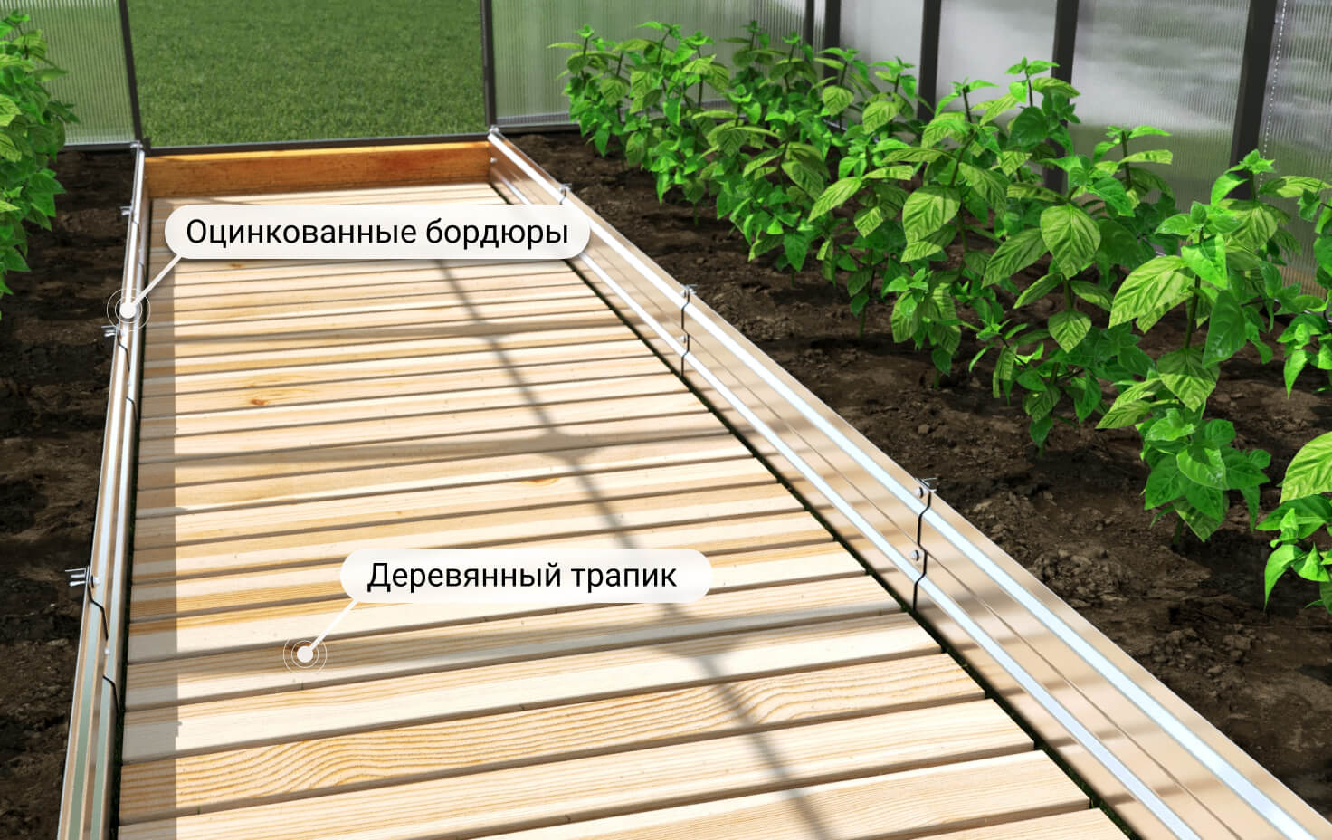 Оцинкованные грядки - самый доступный вариант оформления грядок.