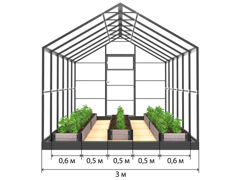 Три грядки в теплице