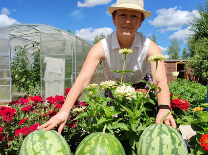 Теплица на страже здоровья