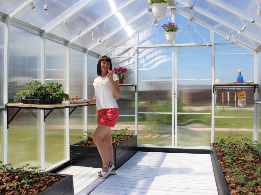 Выбираю теплицу «Домик»