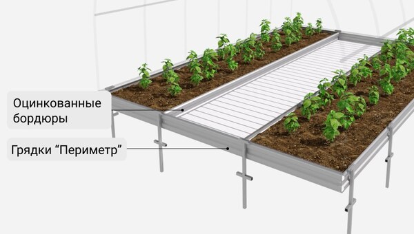 Совместное использование бордюров и грядок 'Периметр'