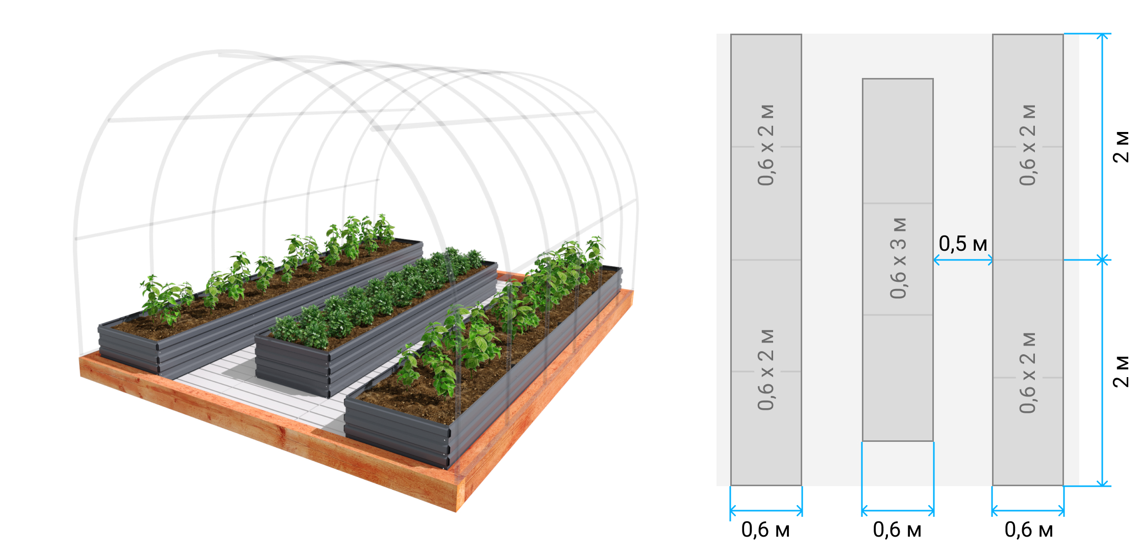 Размеры грядок в теплице 3х6. Теплица с тремя грядками. Расположение грядок в теплице 3х4. Схема посадки томатов в теплице 3х4. Высокие грядки в 3 яруса.