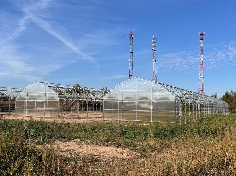 Туннельные теплицы под пленку 8x60 метров 
